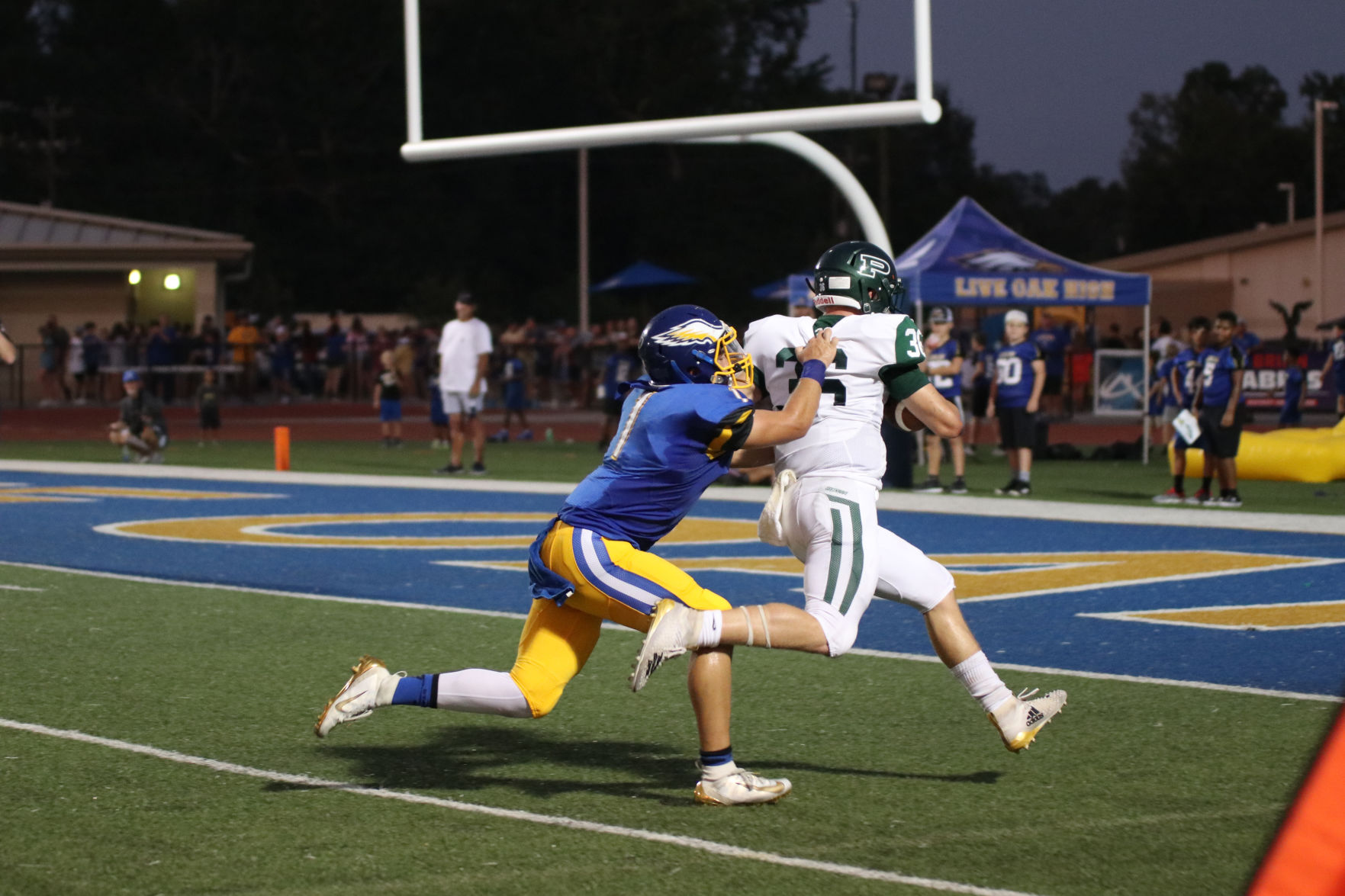 BR.ponchatoulaliveoak.090719.11.jpg